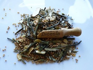 Przyprawa do kiszenia ogórków /100g/