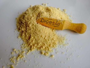 Sól czosnkowa /100g/