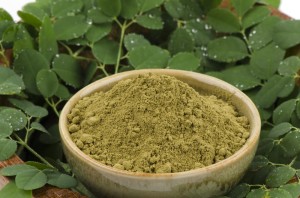 Moringa Oleifera 250g
